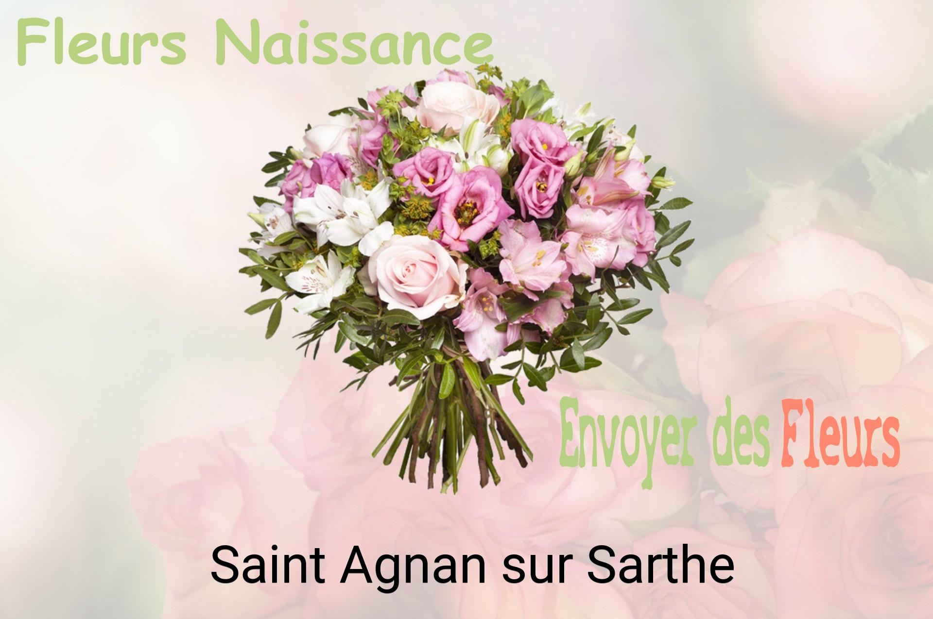 Bouquet de fleurs de naissance livré à Saint-Agnan-sur-Sarthe